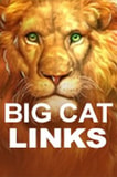 Big Cat Links - Online Pokie