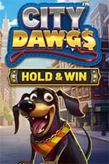 Play City Dawgs Hold and Win - Online Pokie