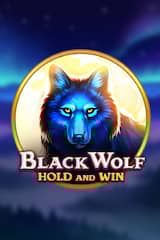 Black Wolf Hold and Win - Online Pokie