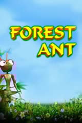 Forest Ant - Online Pokie