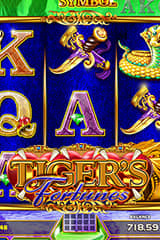 Tiger's Fortune - Online Pokie