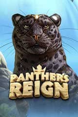 Panthers Reign - Online Pokie