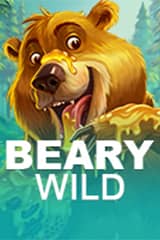 Beary Wild - Online Pokie
