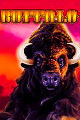 Play Buffalo - Online Pokie