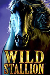 Play Wild Stallion - Online Pokie