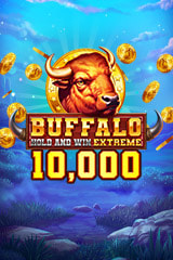 Play Buffalo Hold and Win Extreme 10000 - Online Pokie