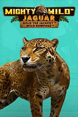 Play Mighty Wild Jaguar - Online Pokie
