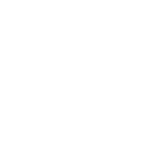 No Deposit Kings logo