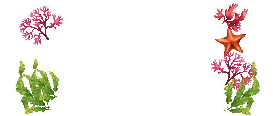 Sea grass animation